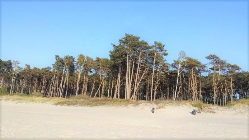 Lodge Maciejka